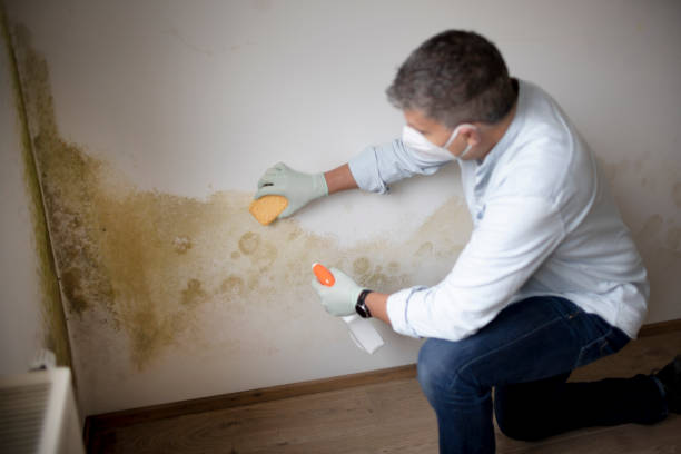 Mold Removal for HVAC Installations in Milltown, NJ