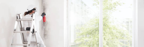 Mold Remediation for Rental Properties in Milltown, NJ